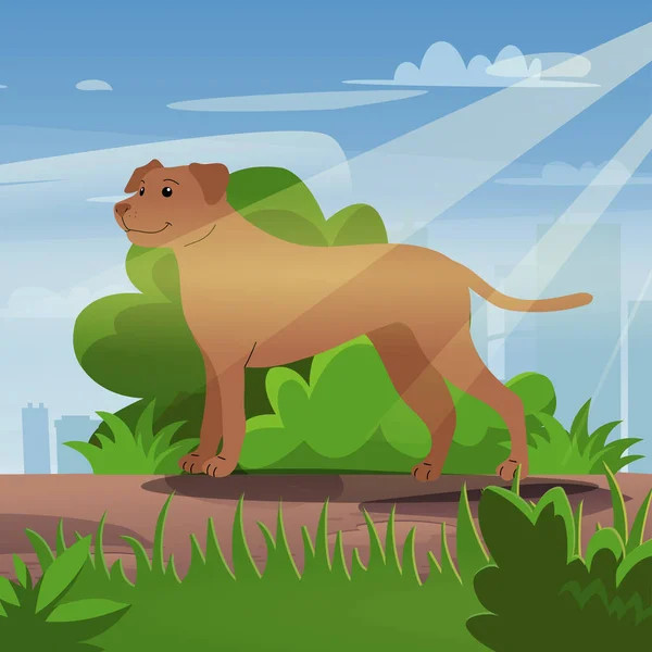 Pet in the city park on a nice sunny day