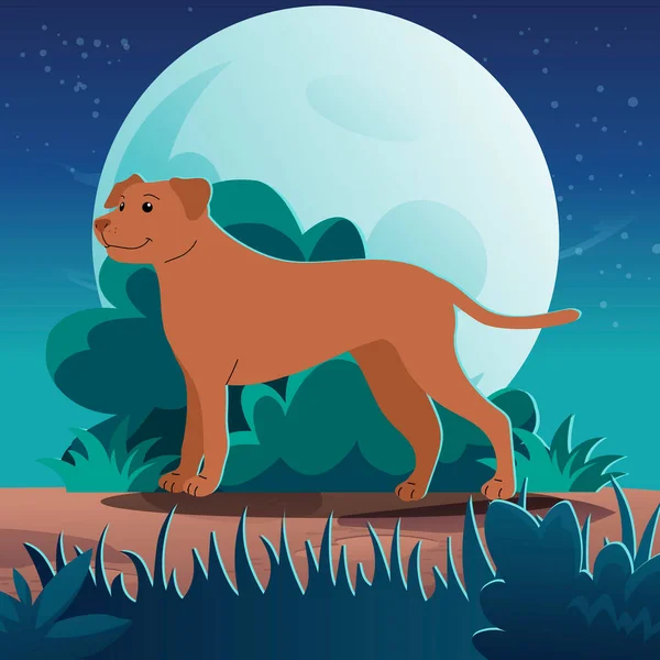 Scene of pet walking in the park on a cute night