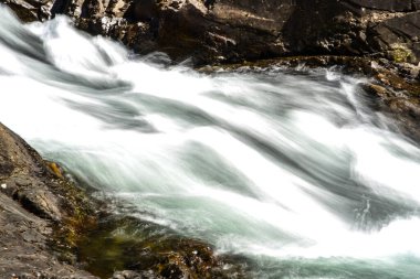 British Columbia Kanada 'daki Vancouver Adası' ndaki Elk Nehri.