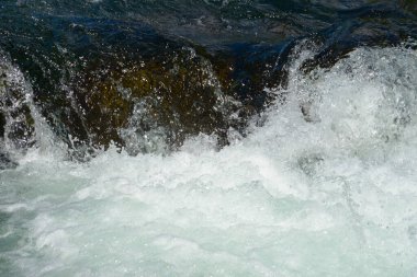 British Columbia Kanada 'daki Vancouver Adası' ndaki Elk Nehri.