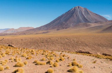 Licancabur volcano in the Chilean Andes near the border with Bolivia