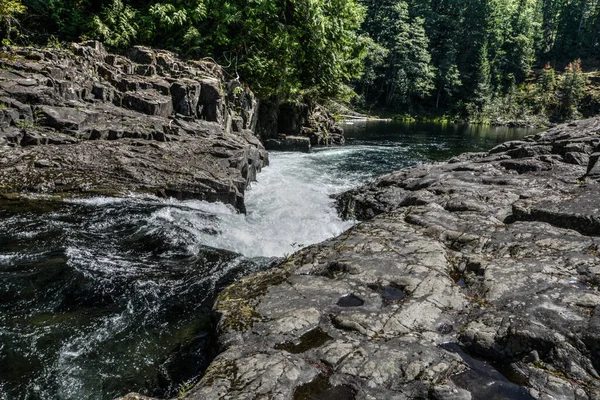 Elk River Vancouver Island British Columbia Canada — Stock Photo, Image