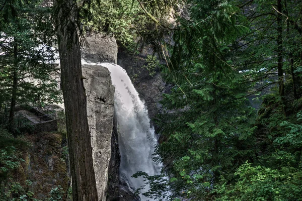 Elk River Vancouver Island British Columbia Canada — Stock Photo, Image
