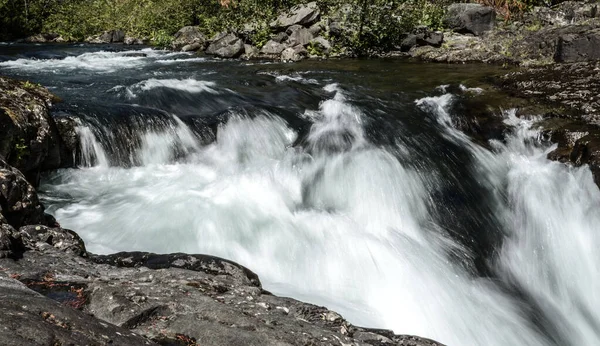 Elk River Vancouver Island British Columbia Canada — стокове фото