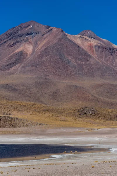 Montagnes Dans Désert Atacama Chili — Photo