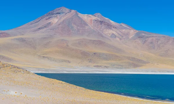 Lagunas Miscanti Andach Chile — Zdjęcie stockowe