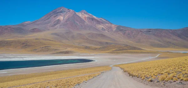 Lagunas Miscanti Andach Chile — Zdjęcie stockowe
