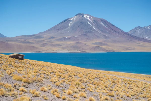 Lagunas Miscanti Andach Chile — Zdjęcie stockowe