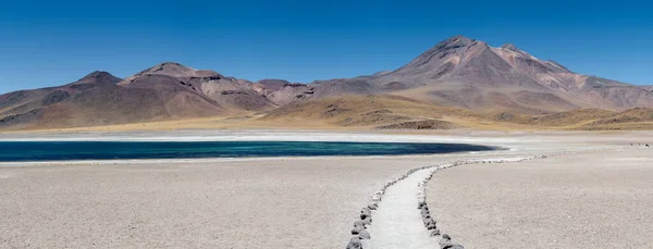 Lagunas Miscanti Pustyni Atacama Chile — Zdjęcie stockowe