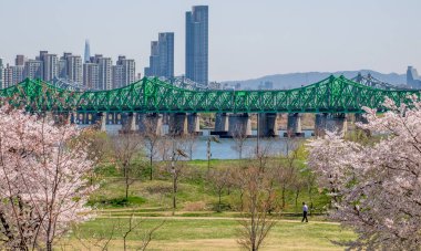 Seul 'deki Han Nehri' nin karşısındaki köprü.