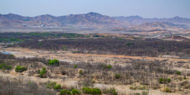 Kuzey ve Güney Kore 'yi ayıran silahsızlandırılmış bölge
