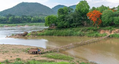 Laos 'taki Mekong Nehri boyunca Bambu köprüsü