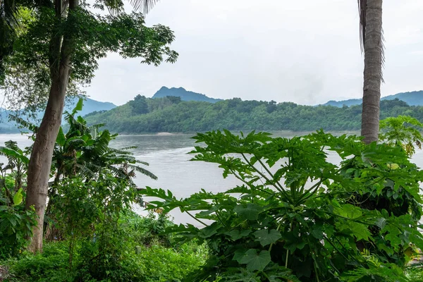 Rio Mekong Selva Norte Laos — Fotografia de Stock