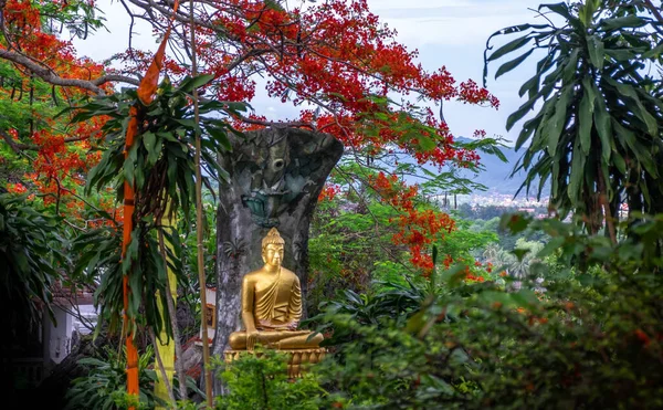 Άγαλμα Του Βούδα Ένα Ναό Στο Luang Prabang Λάος — Φωτογραφία Αρχείου