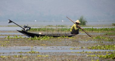 Myanmar 'daki Shan State' deki Inle Gölü 'nde geleneksel balıkçı.