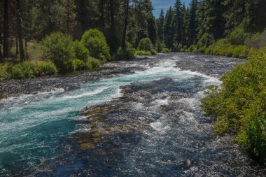 Oregon 'daki Metolius Nehri' nin mavi suları
