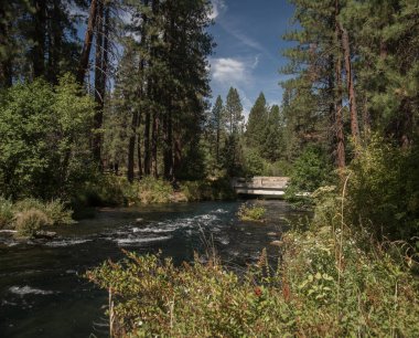 Oregon 'un merkezindeki Bend yakınlarında yayla beslenen Metolius Nehri.