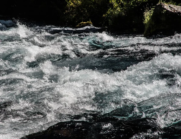Rapids Fast Moving Stream Oregon — Stock Photo, Image