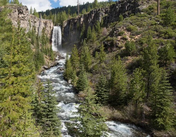 Oregon Bend yakınlarında Tumalo Şelalesi