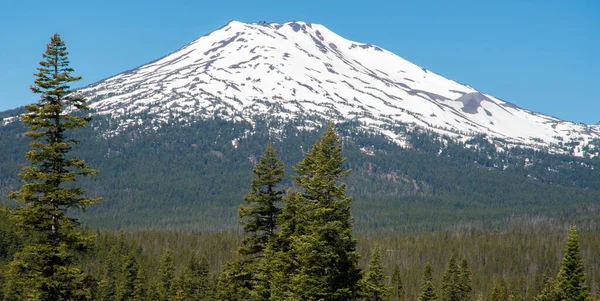 Snow Capped Mount Bachelor Central Oregon — стокове фото