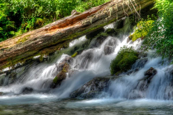 Waterfall Metolius River Central Oregon — Stock Photo, Image
