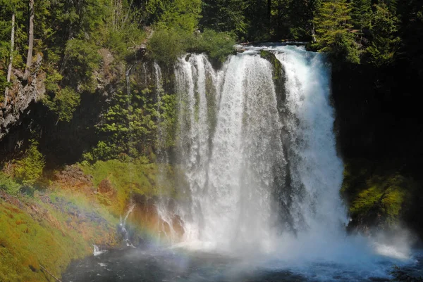 Koosah Falls Râul Mckenzie Din Oregon — Fotografie, imagine de stoc