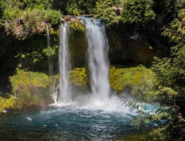 Koosah Falls Râul Mckenzie Din Oregon — Fotografie, imagine de stoc