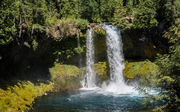 Koosah Falls Râul Mckenzie Din Oregon — Fotografie, imagine de stoc