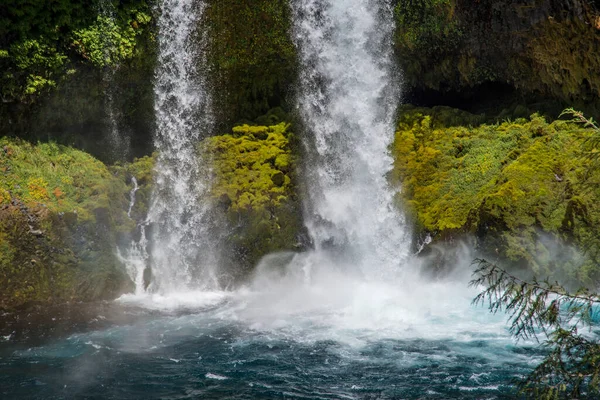Водоспад Кусах Річці Маккензі Поблизу Юджина Орегона — стокове фото