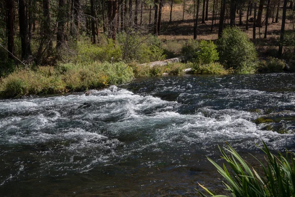 Oregon 'un merkezindeki Bend yakınlarında yayla beslenen Metolius Nehri.
