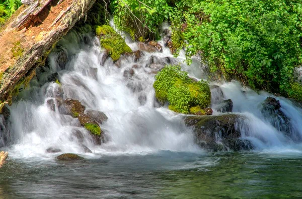 Water Falls Mountain Stream Oregon — Stock Photo, Image