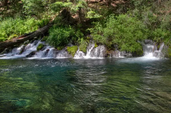 Water Falls Mountain Stream Oregon — Stock Photo, Image