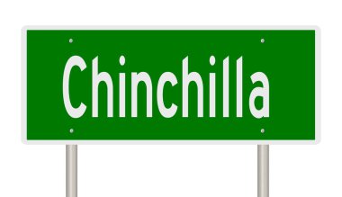 Çinçilla için yapılmış yeşil 3D otoyol tabelası