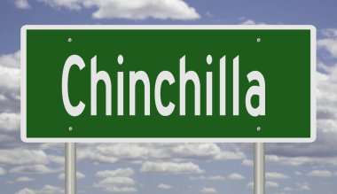 Çinçilla için yapılmış yeşil 3D otoyol tabelası