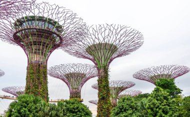 Super trees in a park in Singapore