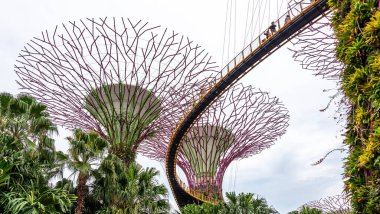 Super trees in a park in Singapore at twilight