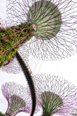 Super trees in a park in Singapore