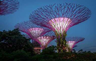 Super trees in a park in Singapore at twilight