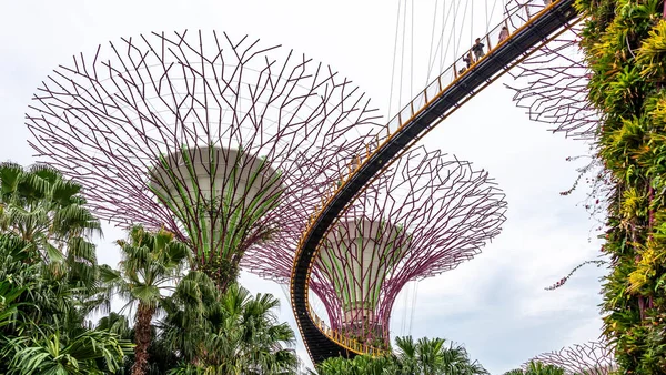 Super trees in a park in Singapore at twilight