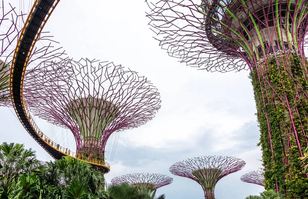 Super trees in a park in Singapore