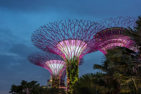 Super trees in a park in Singapore at twilight