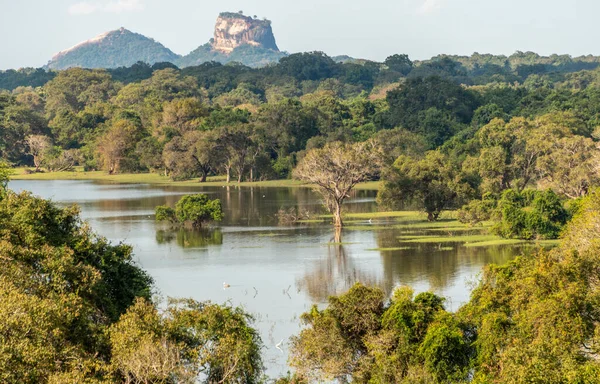 Jungle Lake Central Sri Lanka — kuvapankkivalokuva