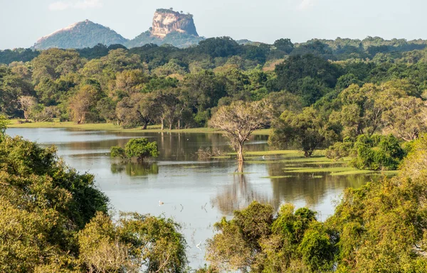 Jungle lake in central Sri Lanka