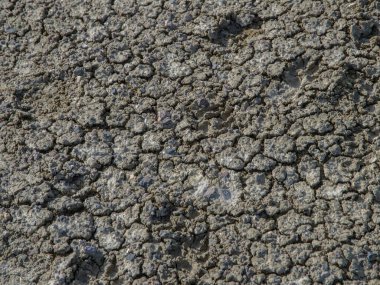 Pişmiş, kurumuş toprak kuraklığı gösteriyor.