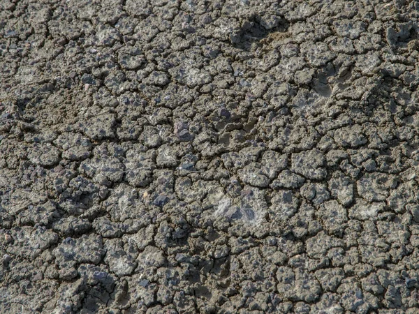 Pişmiş, kurumuş toprak kuraklığı gösteriyor.