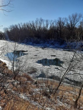 Kar, kıyı ve ağaçların izlerini taşıyan ilk buz.
