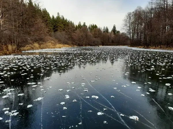 Kar, kıyı ve ağaçların izlerini taşıyan ilk buz.