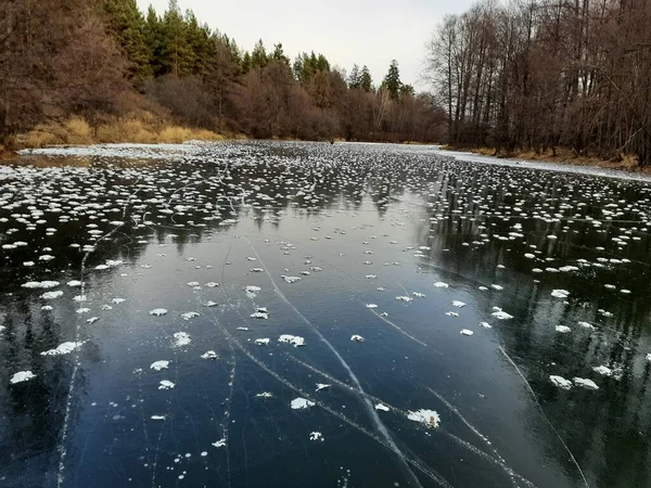 Kar, kıyı ve kamış izleri olan ilk buz.