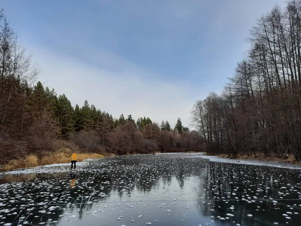 Kar, kıyı ve kamış izleri olan ilk buz.