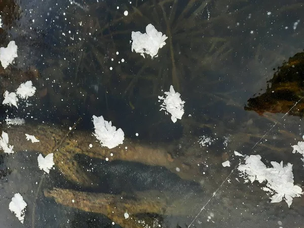 Şeffaf ilk buz ve kar izleri.